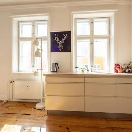 Apartment White Douplex Charm: Big Flat In The City Centre Copenhagen