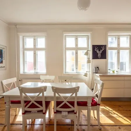 White Douplex Charm: Big Flat In The City Centre